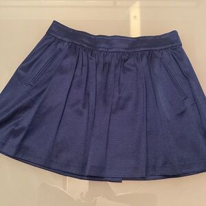 Banana Republic Navy Mini Skirt | 12P